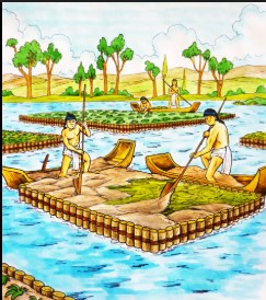 Antigua Chinampa Maya-Azteca